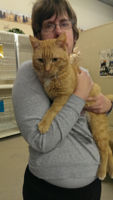 Julie holding her favorite cat, Garfield at the Star of the North Humane Society in Grand Rapids, MN.